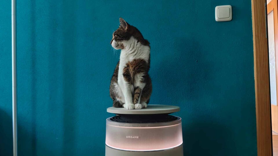 Als schicker Beistelltisch oder Katzen-Thron fügt sich der smarte DREAME FP10 Luftreiniger perfekt in euer Wohnzimmer ein.