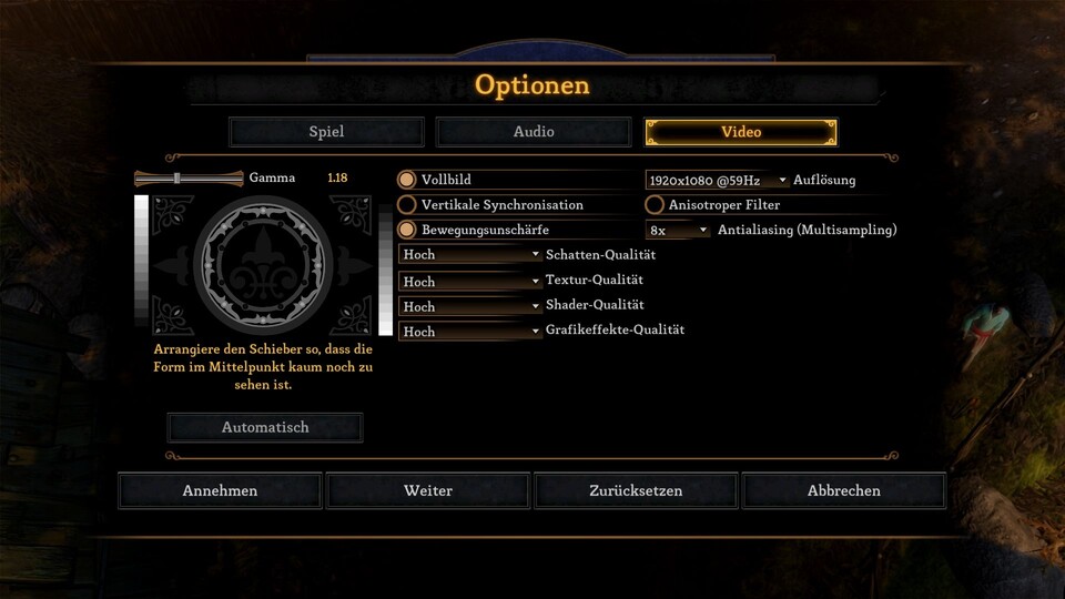 Dungeon Siege 3 bietet zwar einige Grafikeinstellungen, viele bewirken aber überhaupt nichts.