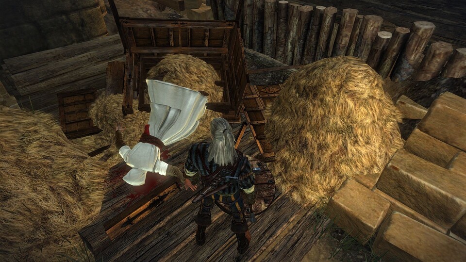 The Witcher 2: Dieser Seitenhieb auf Assassin's Creed ist herrlich böse.