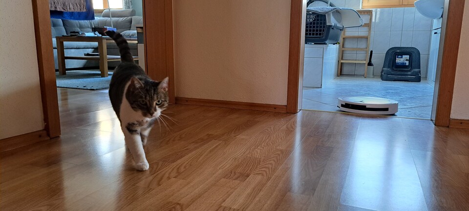 Meine Katze Nita ist gegenüber Staubsaugern, Saugwischern und Co. eher misstrauisch eingestellt, aber den ECOVACS DEEBOT T50 OMNI hat sie bereits nach kurzer Zeit als neuen Mitbewohner akzeptiert.