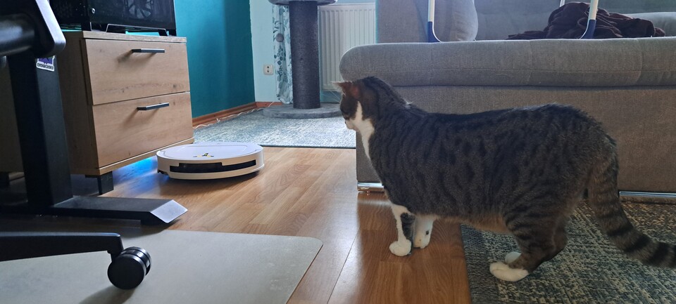 Der ECOVACS T50 OMNI kommt auch in Tierhaushalten super zurecht - und ist sehr flach!