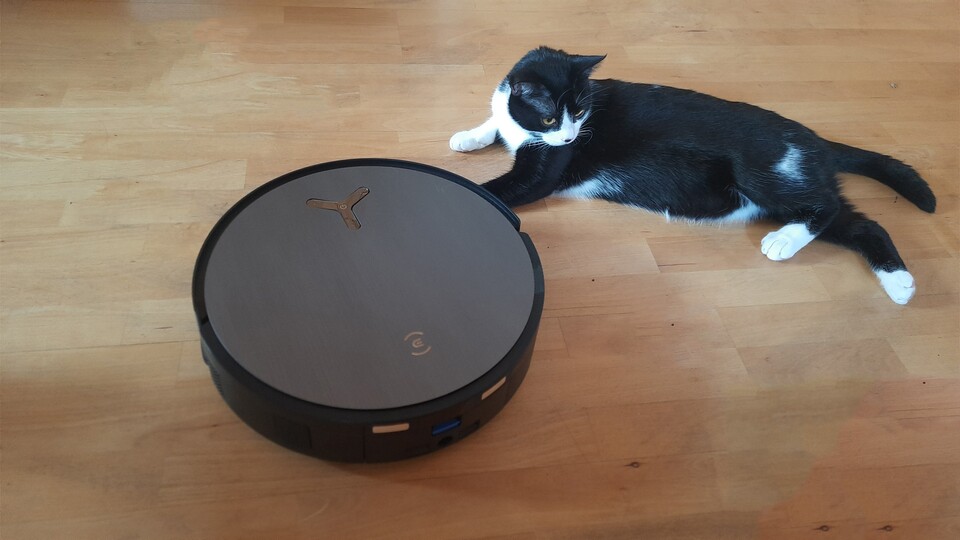 Der Saugroboter erkennt sogar unsere Haustiere und umfährt sie gewissenhaft!