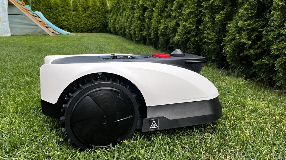 Rechts an den Koniferen gut zu sehen: Ein Stück Rasenkante bleibt fast immer stehen.