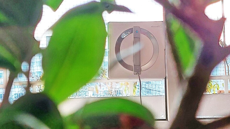 Der WINBOT W2 PRO OMNI in seinem natürlichen Habitat: An der Wand, mit der OMNI-Station verbunden und am Saubermachen.