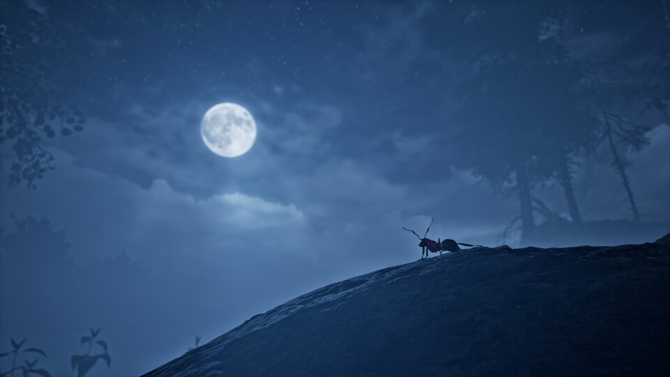 Tageszeit, Wetterwechsel und die vier Jahreszeiten sollen ebenfalls wichtig werden.