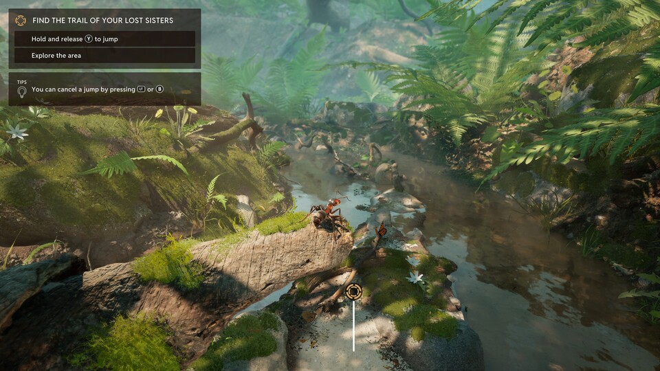 Als Ameise kann ich auch übers Wasser laufen (zumindest für drei Schritte) und springen.