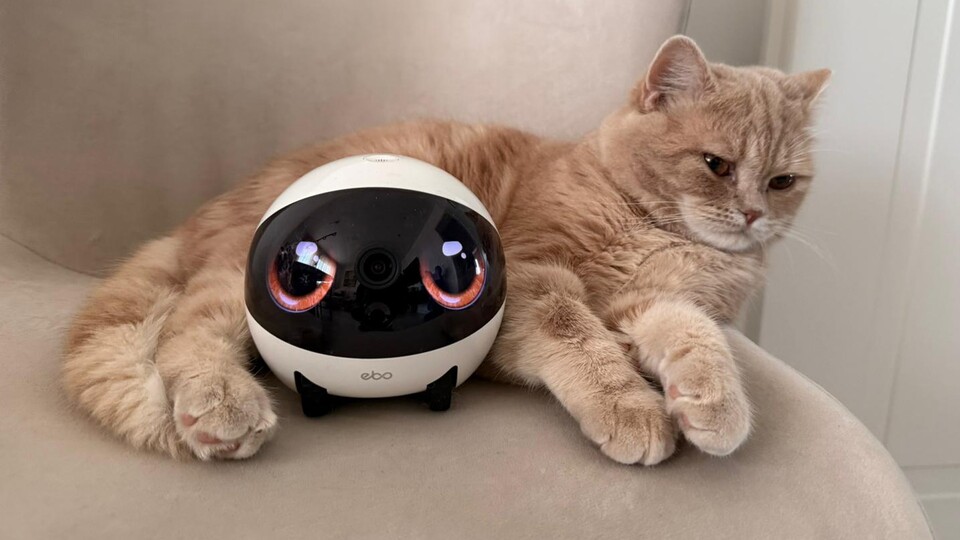 Die Augen des Ebo Air 2 machen den Roboter einfach menschlicher. Unterbewusst nehmen wir das Teil so nicht komplett als leblosen Gegendstand dar.