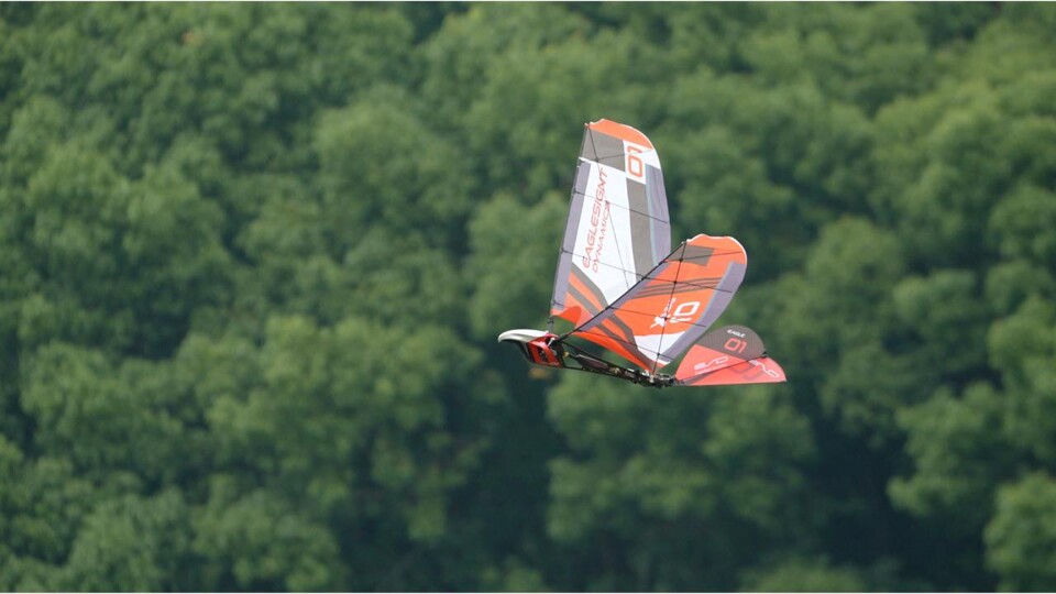 Im Flug wechselt der Eagle X zwischen kräftigen Flügelschlägen und längeren Gleitphasen und soll dabei auch Kunstflugmanöver beherrschen. Quelle: ESD Eagle X Bionic.