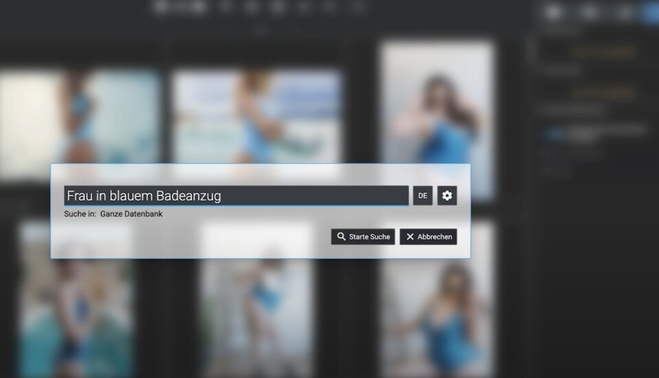Über die Suchleiste kommt ihr blitzschnell an die gewünschten Bilder. (Quelle: Excire)