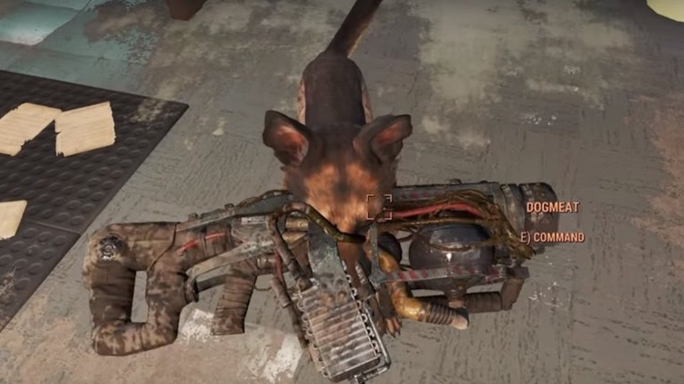 Guter Hund! Unser Begleiter Dogmeat in Fallout 4 scheint verborgene Talente zu haben. Sogar Meisterschlößer kann der Hund derzeit umgehen und bringt den Kryolator auf gutes Zureden.