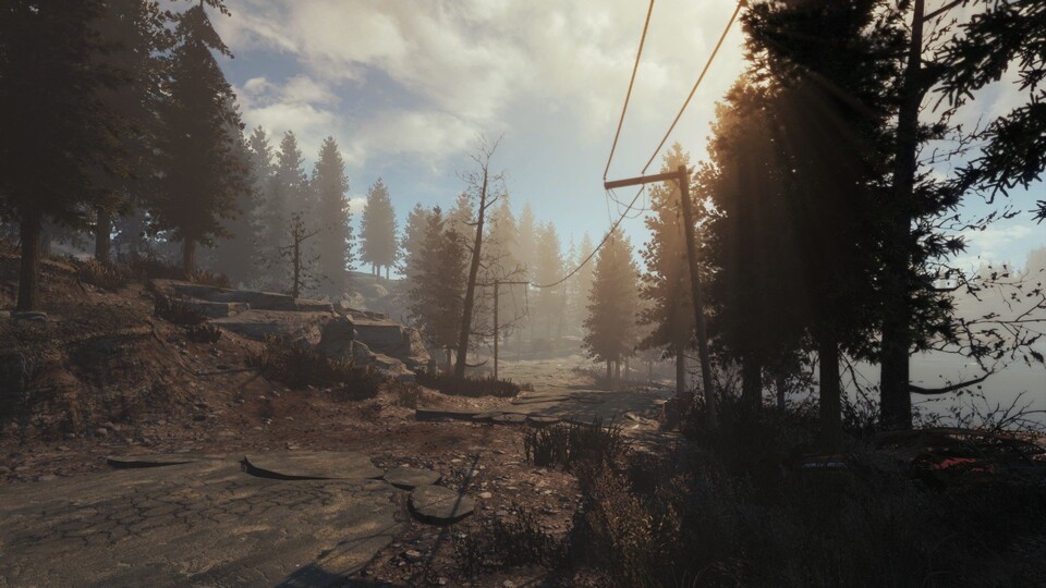 Fallout: Kanada könnte deutlich grünere Landschaften haben als die Vorgänger. (Bildquelle: Fallout: Cascadia)