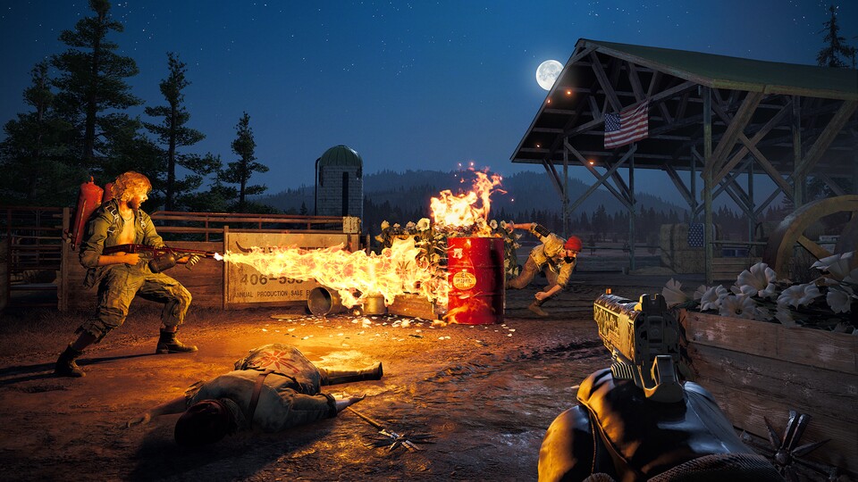 Ein Bug in Far Cry 5 sorgt dafür, dass es dauerhaft Nacht bleibt. 