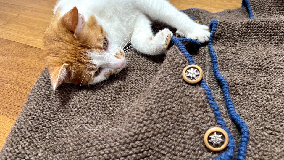 Mein Kater inspiziert die getrocknete Wolle ganz genau und ist mit dem Ergebnis sehr zufrieden.