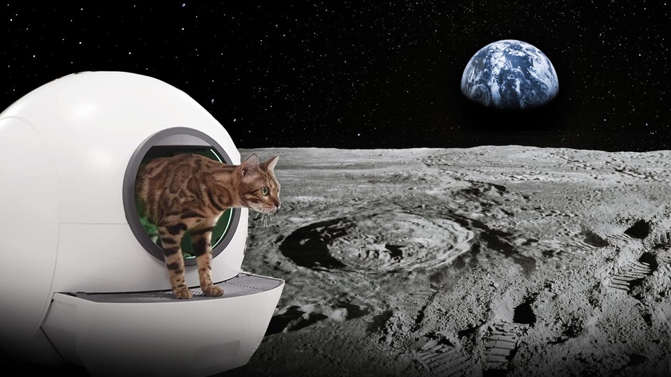 One small tap for a cat - one giant leap for mankind... or something like that.  Conversation Starter is an understatement for this litter box.
