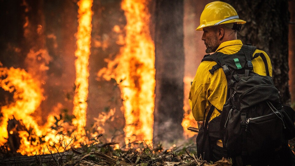 Vor Ort riskieren australische Feuerwehrmänner ihre Leben, aber auch aus der Ferne versuchen viele mit Spenden zu helfen.