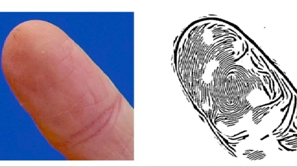 Der fotografierte Fingerabdruck von Ursula von der Leyen (Bildquelle: Starbug)
