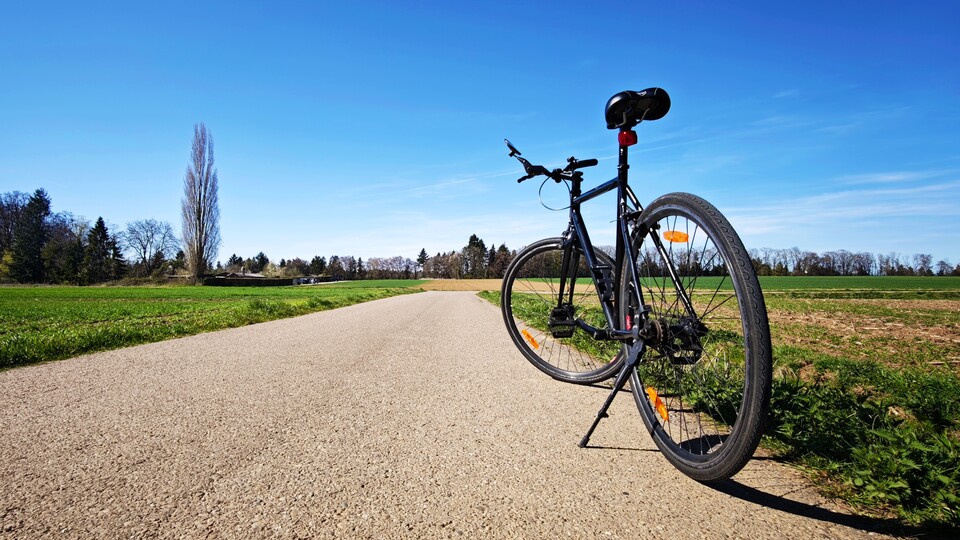 Fixies sind toll, aber nicht für jeden. (Bildquelle: Duy Linh DinhGameStar Tech)