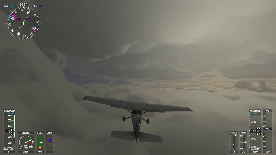Flight Simulator #3