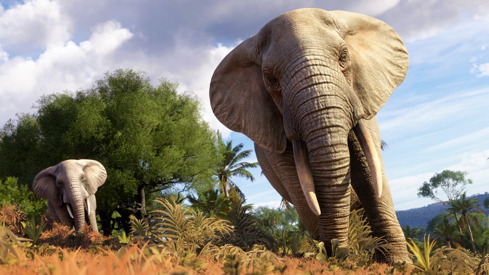 Elefant im Raum: Zwar beschäftigen sich dank Microsoft heute wieder viele Spieler mit Flugsimulation – aber wer der Szene langfristig erhalten bleibt, ist eine andere Frage.