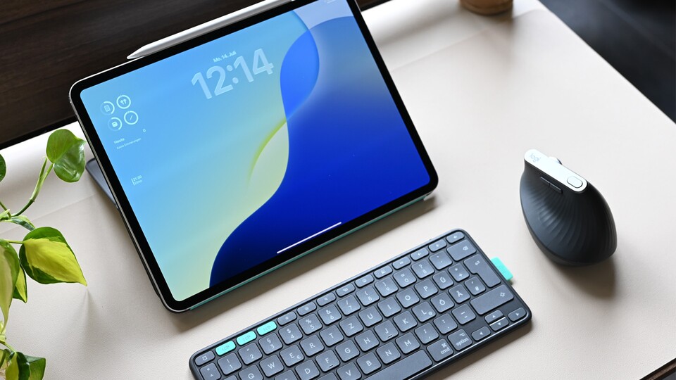 Not a must, but of course the missing touchpad is worthy of the mouse.