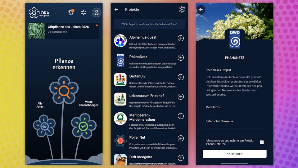 Eure gesammelten Pflanzen können einen Beitrag in der Umweltforschung leisten. (Bildquelle: GameStar Tech)