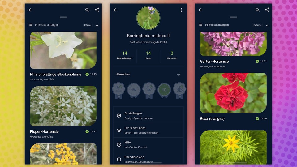 In eurem Konto könnt ihr alle von euch gesammelten Blumen sehen. (Bildquelle: GameStar Tech)