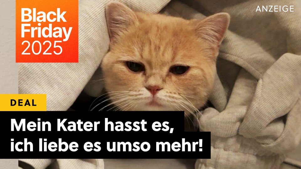This gadget has made my life a lot more worry-free. Some cats won't like it, but it's only for the good of the little four-legged friends.