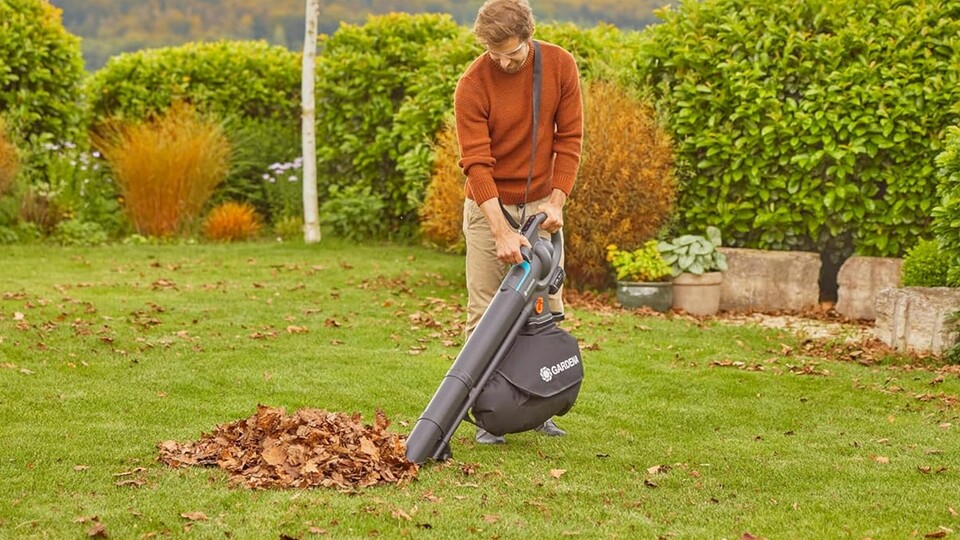 Wir haben einige Obstbäume sowie einen Ahorn im Garten, nebenan steht noch eine riesige Eiche. Das Laub im Herbst reicht gefühlt bis zur Zugspitze.