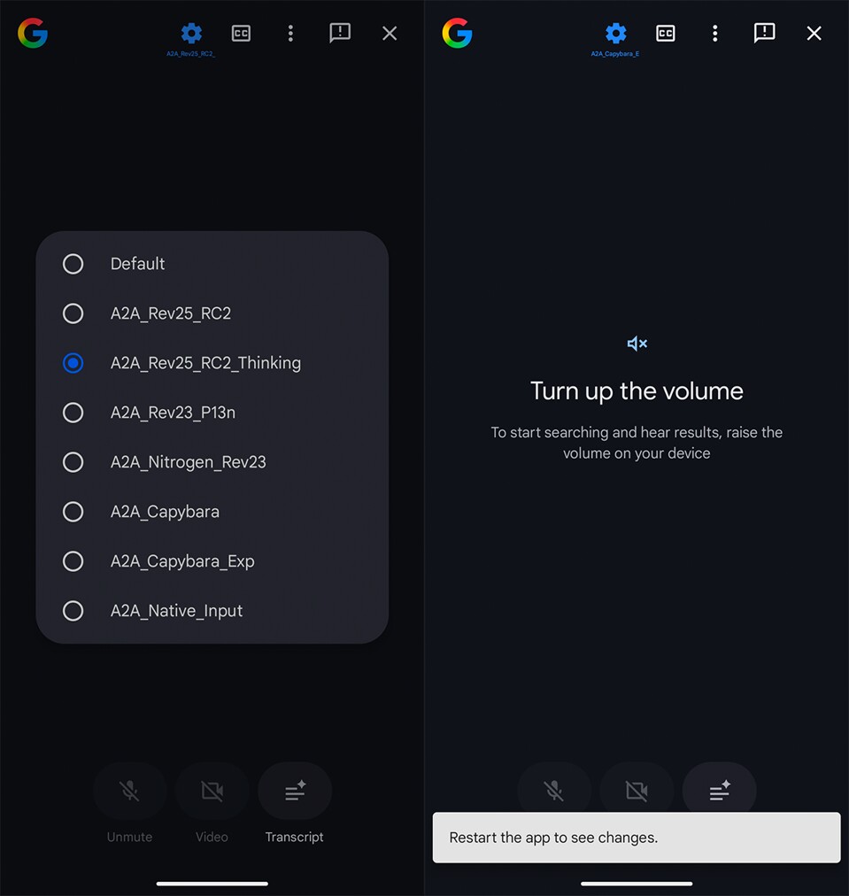 Das sind die bisher unbekannten Voice-Models von Google. (Bildquelle: Forbes)
