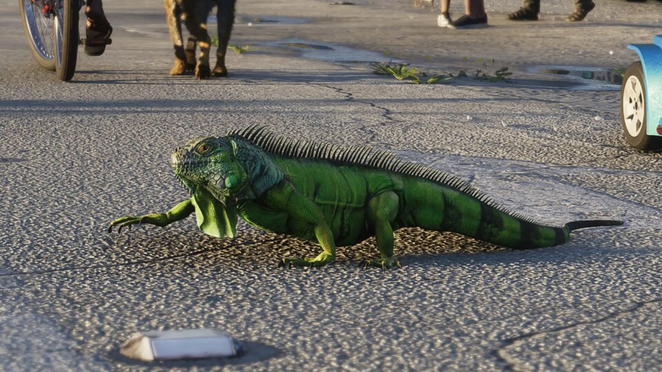 Leguane feiern ihr GTA-Debüt. In Leonida sonnen sie sich auf Dächern, Zäunen und Gehwegen.