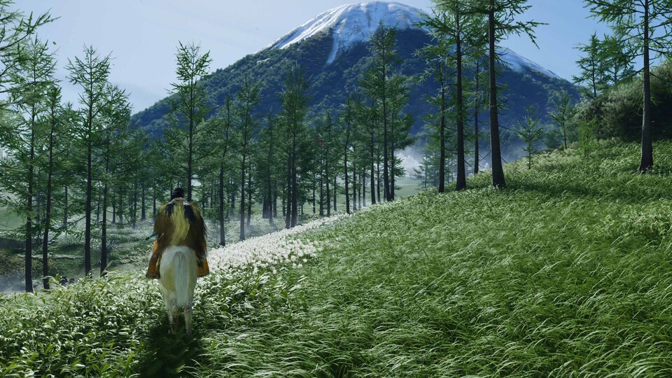 In Ghost of Yotei gibts vor allem viel weites Land und eindrucksvolle Panoramen wie diesen Bergwald zu bewundern.