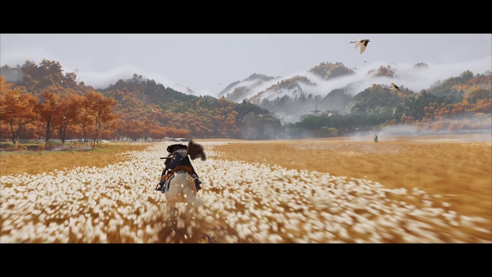 Weiße Blumen wiegen sich im Wind, Mandschurenkraniche steigen aus den Feldern auf. Die Open World sieht auch in Ghost of Yotei wunderbar stimmungsvoll aus.