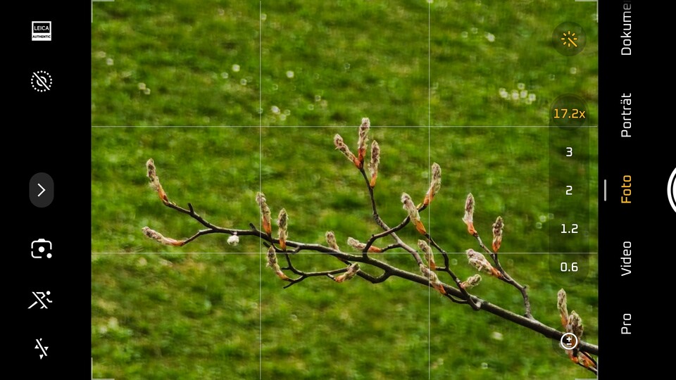 Bei den meisten Kameras und Handys könnt ihr Gitterlinien einblenden, um euch die Bildgestaltung zu vereinfachen. (Bildquelle: Duy Linh DinhGameStar Tech)