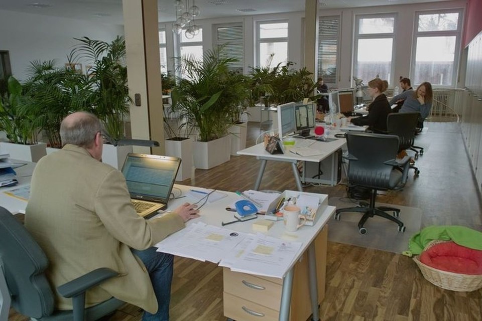 Nach der Zentrale einer illegalen Operation sehen die Büros von RandyRun nicht aus.