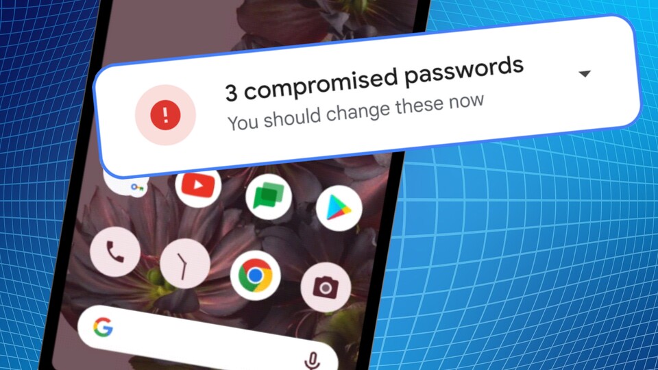 Der Passwortmanager warnt euch, wenn Passwörter kompromittiert wurden