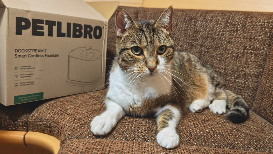 Futterautomat, Katzenbrunnen und Co: Meine Katze Nita ist inzwischen ein echter Fan von den smarten Produkten aus dem Hause Petlibro.