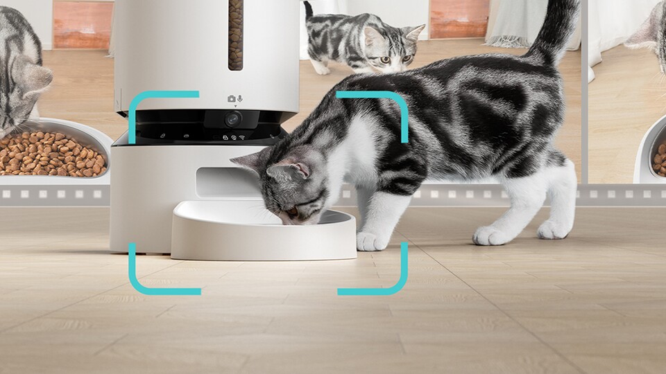 Nachtsicht, HD-Kamera, App-Steuerung – und eure Katze im Mittelpunkt.