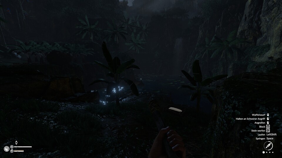 Würde nicht der Mond auf die Wasseroberfläche scheinen, würde ich in der Dunkelheit gar nichts mehr sehen. Wenn ich in so einer Situation das Fauchen eines Jaguars höre, bin ich auch nach 150 Stunden noch angespannt.