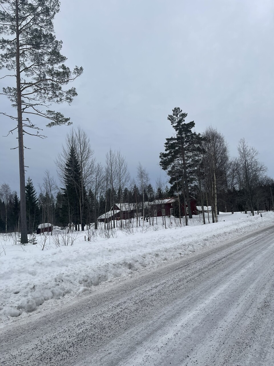 Der schwedische Norden war sehr idyllisch. Bis man die Straße verlässt und in den tiefen Wald wandern muss.