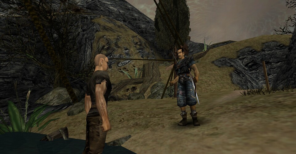 Der erste Akt von Phoenix orientiert sich noch stark am ersten Gothic. Bei den nächsten beiden Akten werden die Modder komplett eigene Level und Geschichten schaffen. In den letzten Kapiteln wird eine weibliche Heldin im Mittelpunkt stehen.