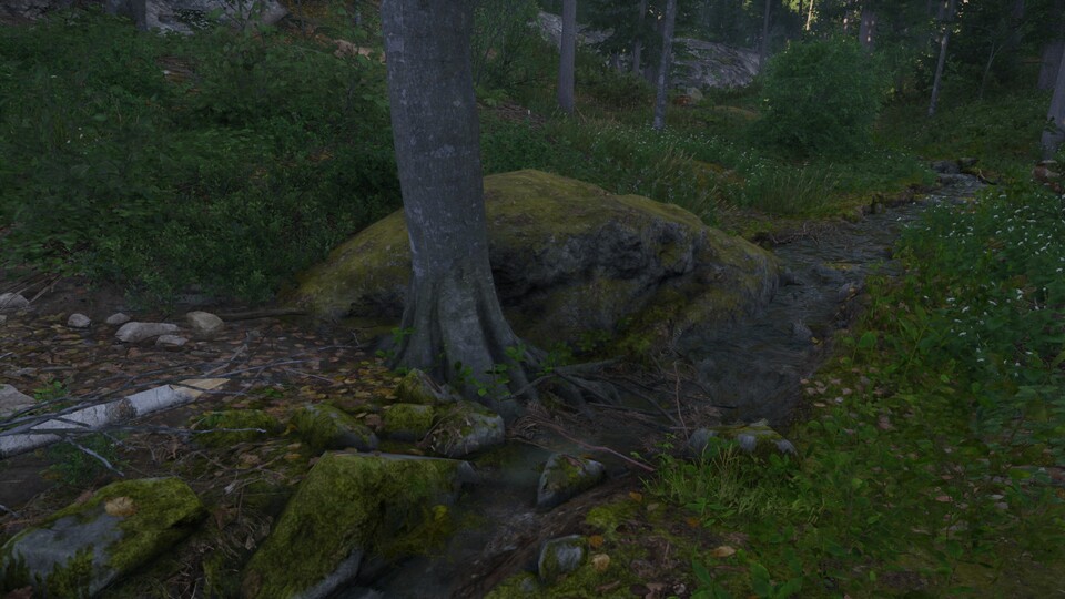 Das ist der große Felsen, an dem ihr euch nach rechts wenden müsst.