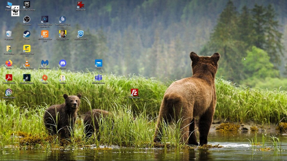 Da schaut selbst der Bär perlex: Plötzlich sind alle meine Icons links oben. Die schöne Sortierung, sie ist weg.