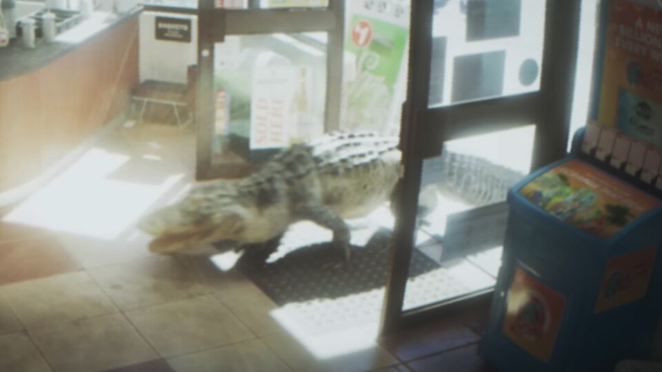 Offenbar gehen auch Alligatoren shoppen. Aber im Ernst: Diese Szene im Trailer hat so in der Realität stattgefunden.