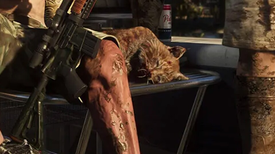 Der scheue Rotluchs ist in den abgelegenen Wäldern nahe Mount Kalaga zuhause und dürfte nur selten zu sehen sein.