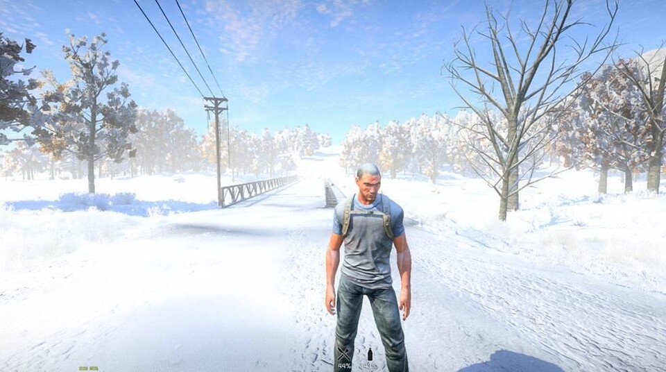 H1Z1 wird demnächst ein dynamisches Wetter-System erhalten, das auch Schneefall darstellen kann. Außerdem gibt es ein Update zum aktuellen Entwicklungsfortschritt.