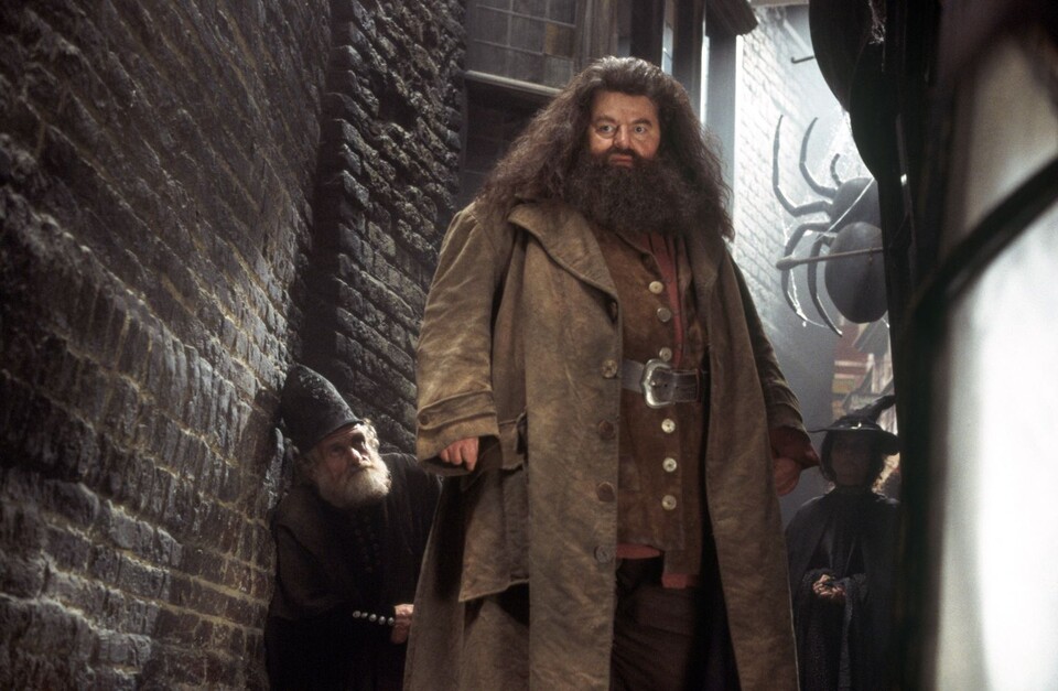 So bunt und tolerant die Fantasie-Welt in Harry Potter ist – mit Riesenmenschen wie Hagrid (Bild) und Werwolf Lupin – so binär scheint Rowlings Geschlechterverständnis in der realen Welt. (Quelle: ddp images interTOPICS mptv)