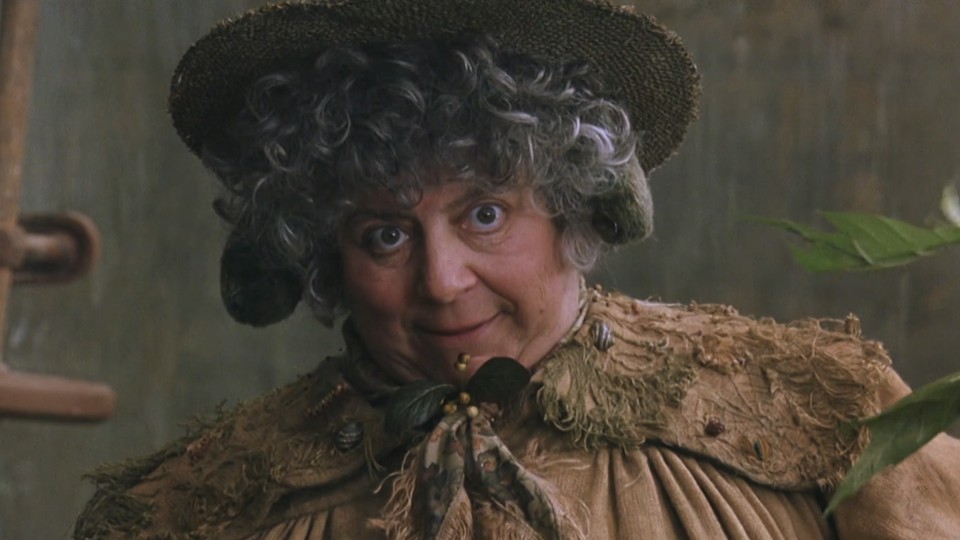In den Harry-Potter-Filmen trat Miriam Margolyes als Professorin Pomona Sprout - Hauslehrerin der Hufflepuffs und Lehrerin für Kräuterkunde in Hogwarts - auf. Bildquelle: Warner Bros.