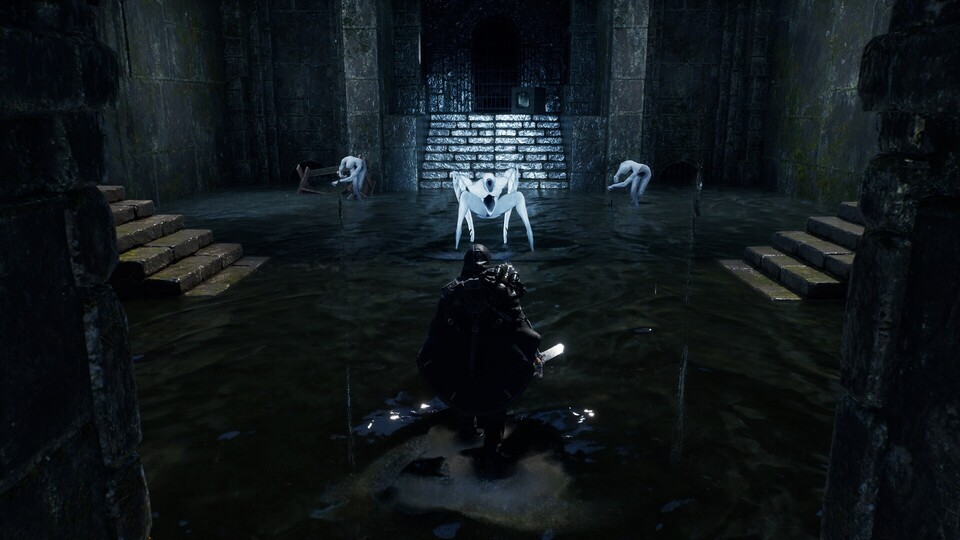 Die Hollow Walker sind fiese Dämonen, denen ihr aus der Schulterperspektive Saures gebt.