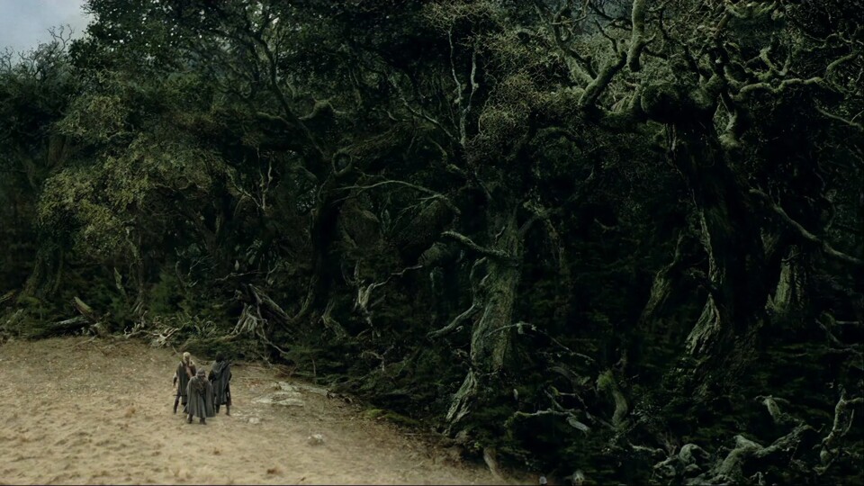 Im Fangorn leben die letzten Ents. Die Entfrauen wollten lieber in Gärten und Wiesen hausen.