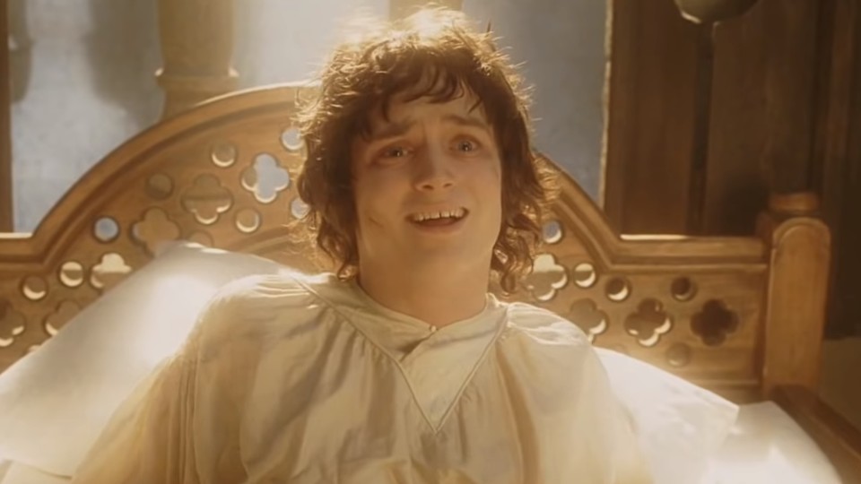 Da freut sich Herr Frodo.